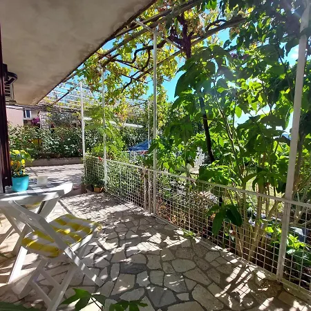 Anchy 茨里克韦尼察