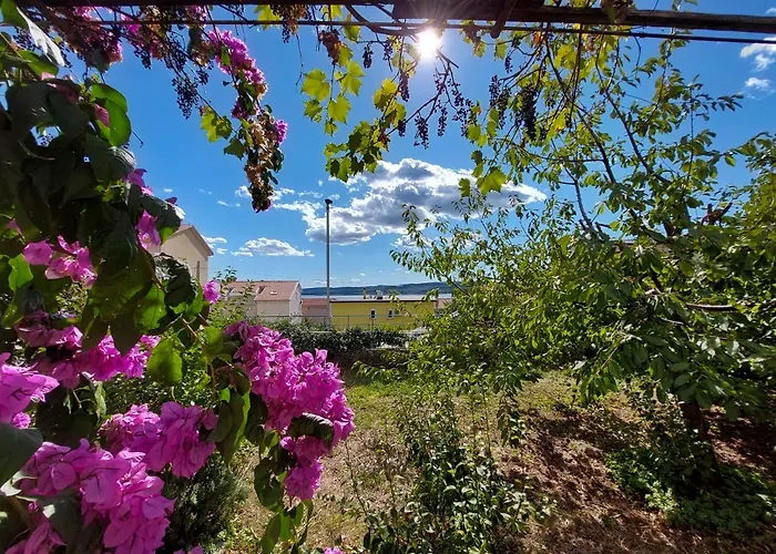 ゲストハウス Anchy 3*